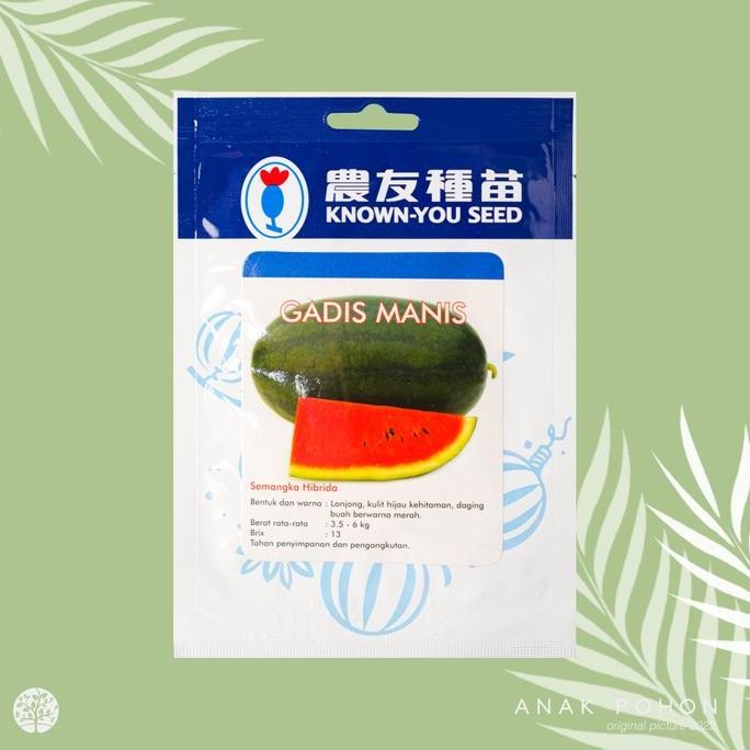 (1 PACK) Benih Semangka Inul GADIS MANIS Hibrida - Known You Seed murah