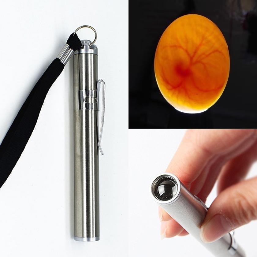 Premium Senter Teropong Telur Ayam Burung Mini LED Untuk Mesin Tetas / Hiking / Camping / Survival /