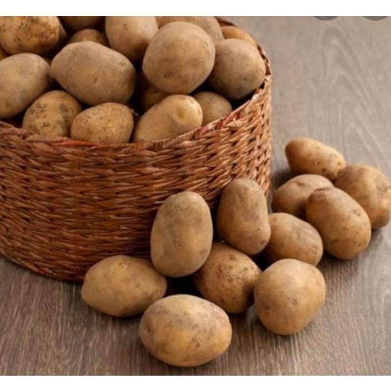 

Praktis Kentang Dieng 1Kg