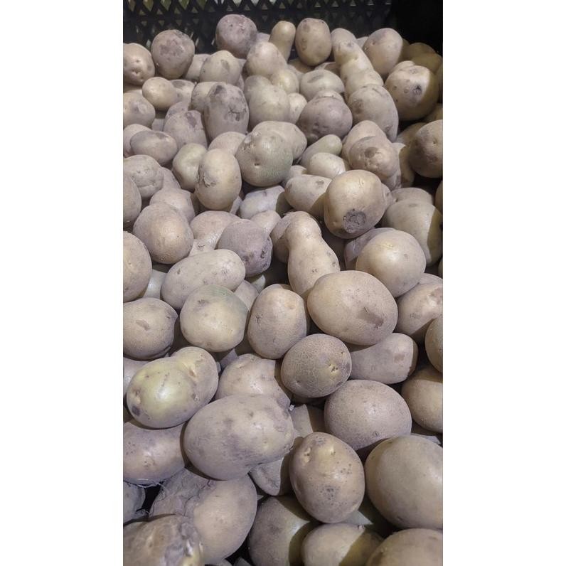 

Eksklusif Kentang Dieng Super 1Kg