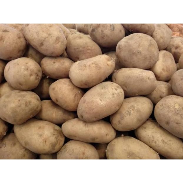 

Solusi Kentang Dieng Kentang Asli Pegunungan Dieng