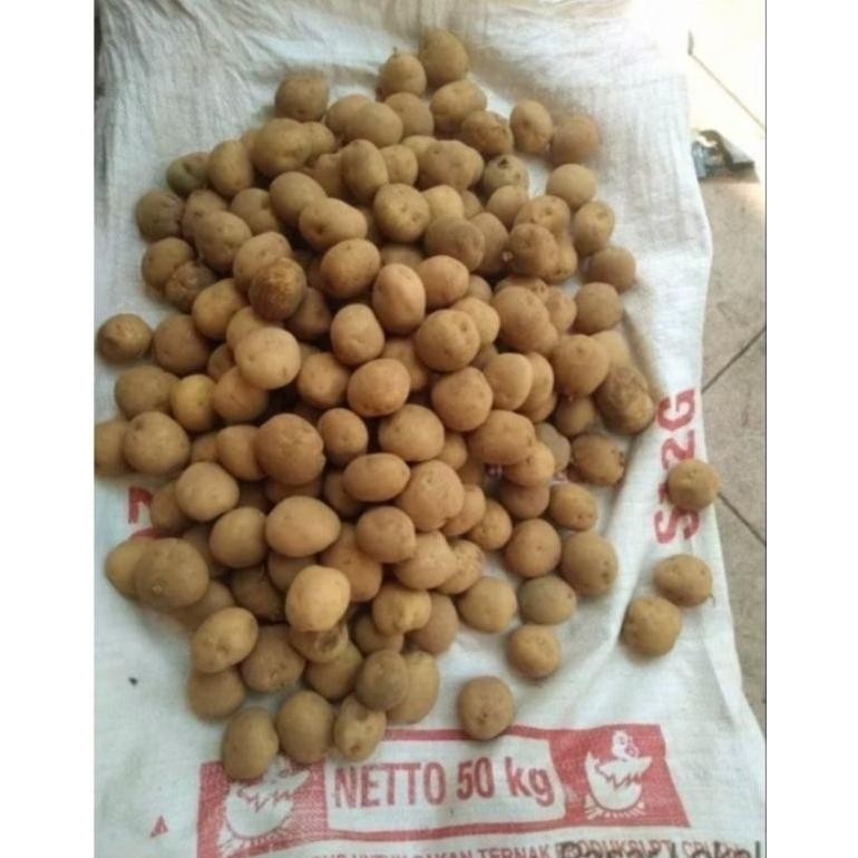 

Original Kentang Super Segar Kecil Sedang Segar (1 Kg)
