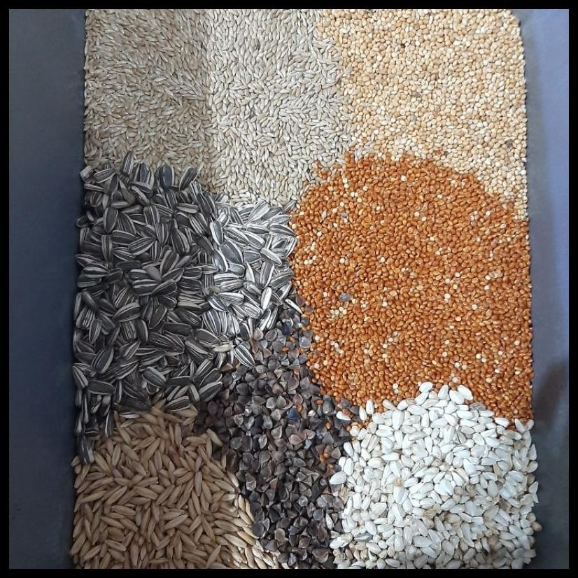 

MILET PREMIUM MIX KOMPLIT KUACI HAVER CANARYSEED BUCKWHEAT SAFFLOWER 1KG BONUS TULANG SOTONG