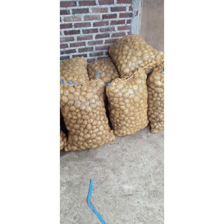 

Cod Kentang Super Segar [ Ukuran Sedang 500 Grm ]