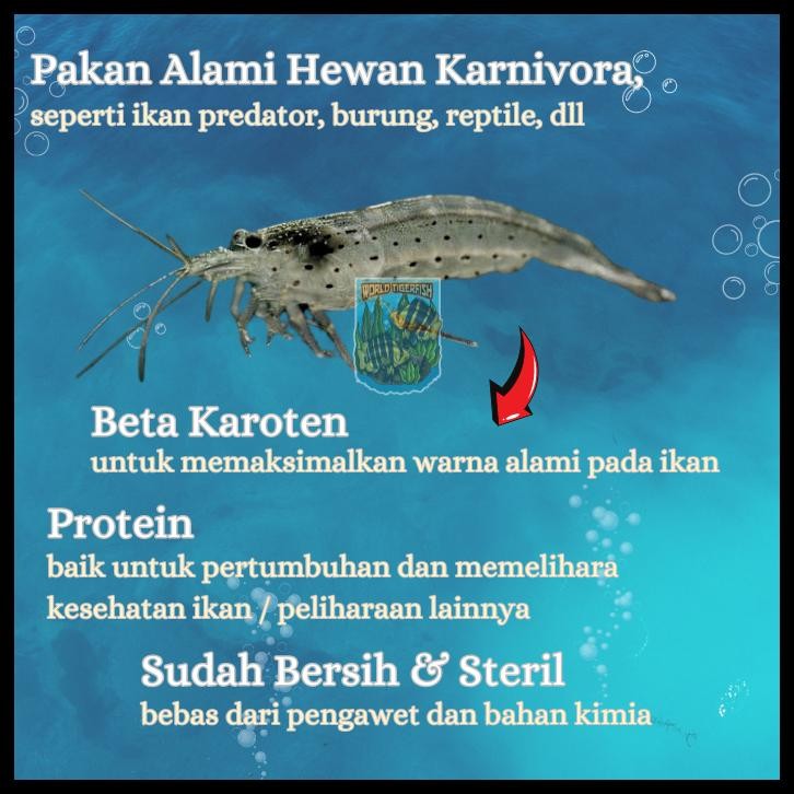 UDANG SAWAH BEKU UDANG RAWA UDANG BEKU PAKAN IKAN ARWANA 500GR UDANG BEKU SEGAR UDANG REBON BABY SHR