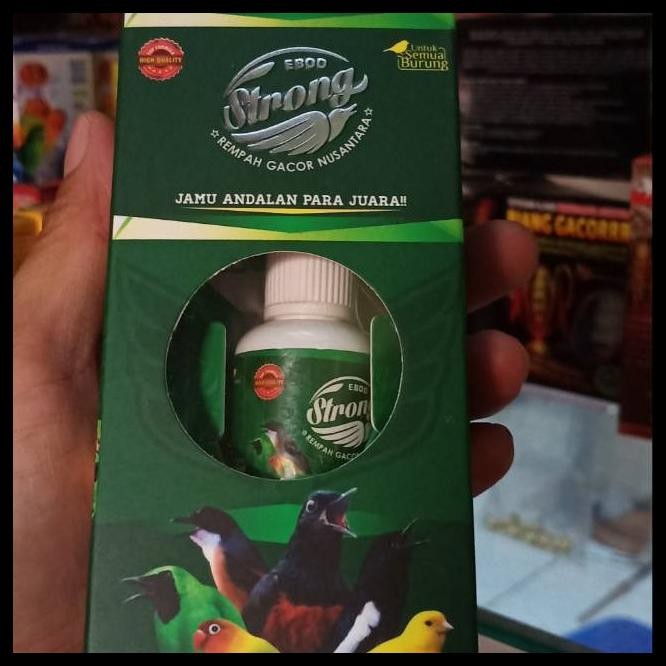 EBOD STRONG EBOD JAYA
