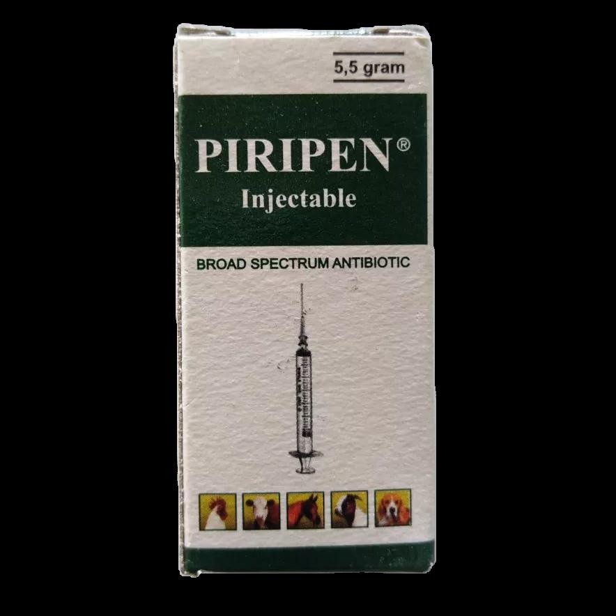 Terlaris PIRIPEN Penstrep injek 5,5 Gram Serbuk Antibiotik Penicilin Hewan Terbaru