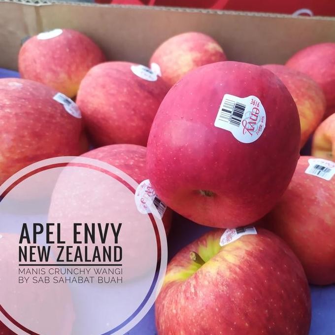 

READY BUAH APEL ENVY NEWZEALAND