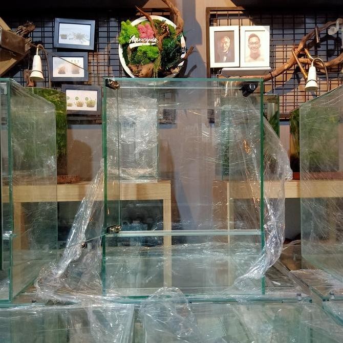 A100 Neo Glass Terrarium Vivarium Paludarium Tank Aquarium Aquascape