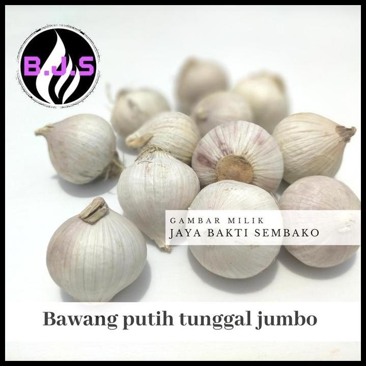 

Terlaris Bawang Putih Tunggal/Lanang (Jumbo)500Gram Good Quality