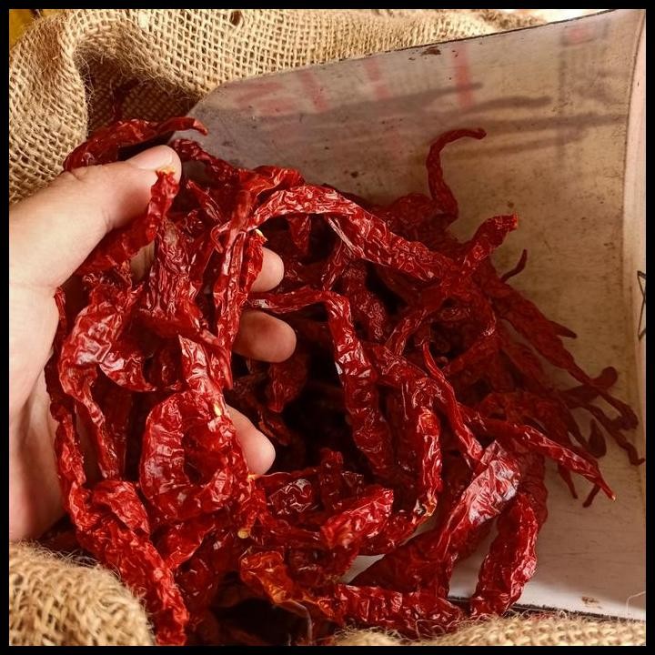 

Terlaris Cabe Kering Keriting 1 Kg Kilo Fresh Untuk Rendang Dll Good Quality