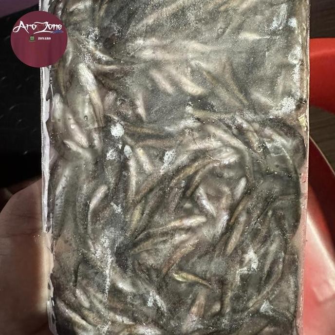 Terlaris Anakan Ikan Gabus Beku/Pakan Arwana Dan Ikan Predator