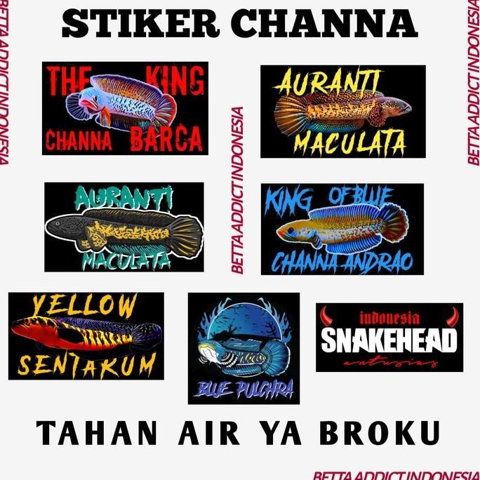 

STIKER CHANNA GANAS TERMURAH - TAHAN AIR - TAHAN PANAS