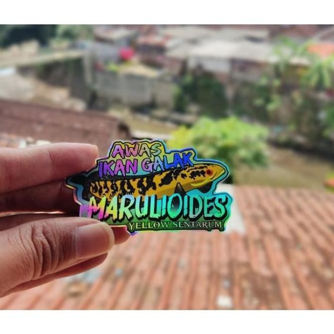 

STIKER HOLOGRAM IKAN CHANNA