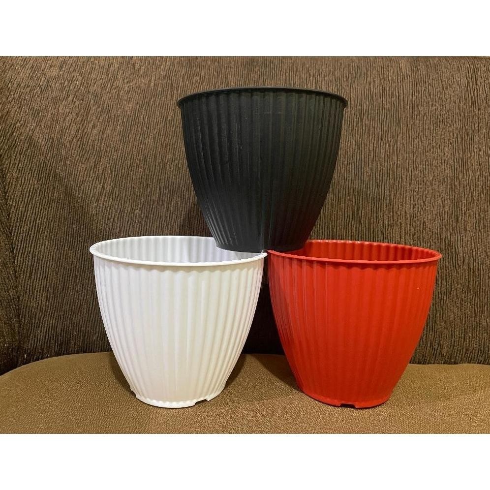 Promo Cod Promo Termurah Pot Kerang 15 Transparan Bening / Pot Zigo 15 / Pot Tanaman / Pot Hias / Po