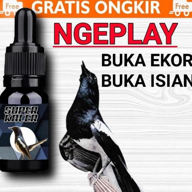SUPER KACER GACOR FIGHTER NGOBRA BUKA ISIAN VOLUME TEMBUS