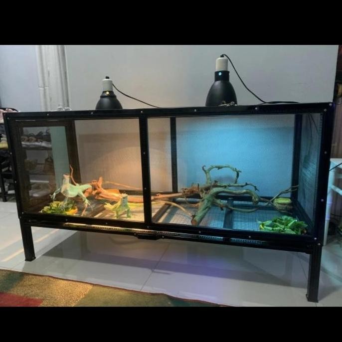 Kandang Iguana Reptil Co