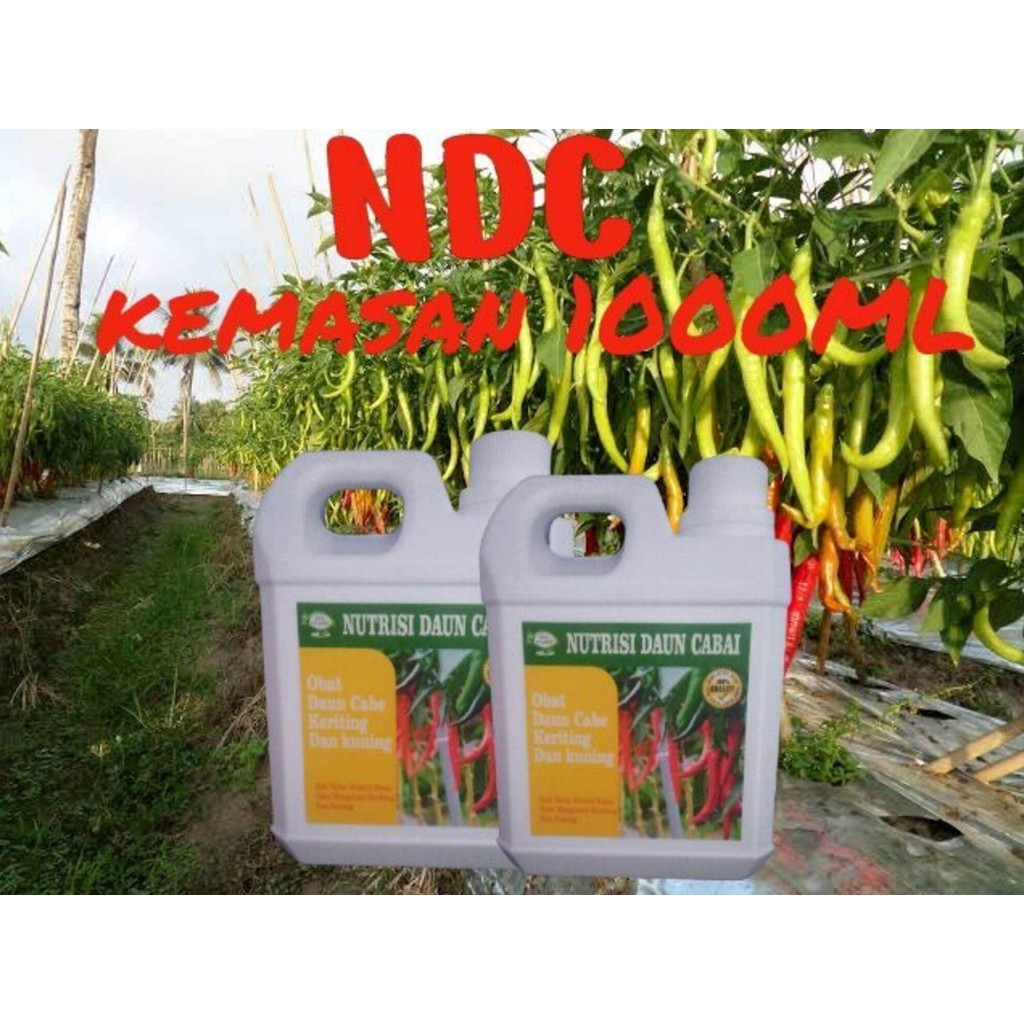 allifi farm pupuk obat bulai cabai daun kriting anti virus daun ndc