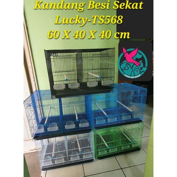Ts568 Lucky Kandang Sekat Besi P.60 X L.40 X T.40 Cm Kotak Lucky Kandang Sekat Umbaran Burung Sudagr