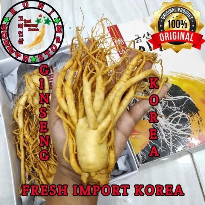 

Ginseng Korea Besar Original Import