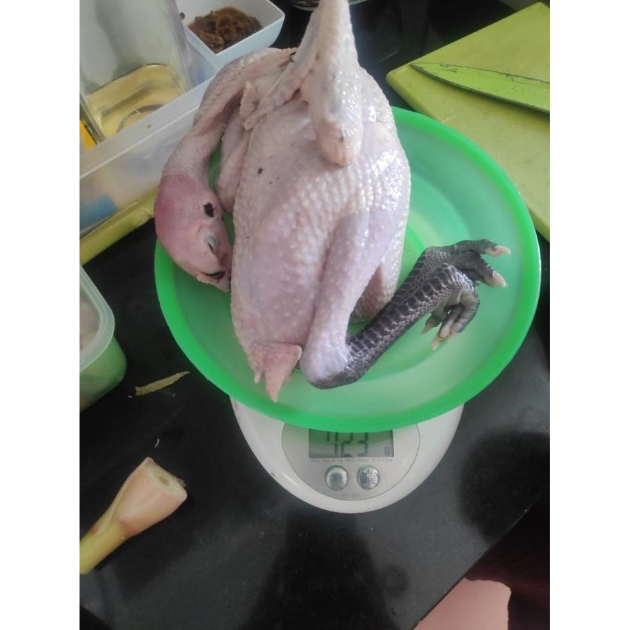 

(Expert) AYAM KAMPUNG 720 - 760 gr (Paket Silver)