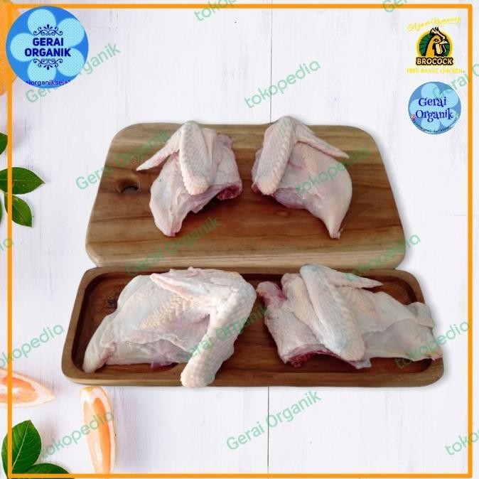

(Expert) AYAM KAMPUNG BROCOCK FREE RANGE ORGANIK