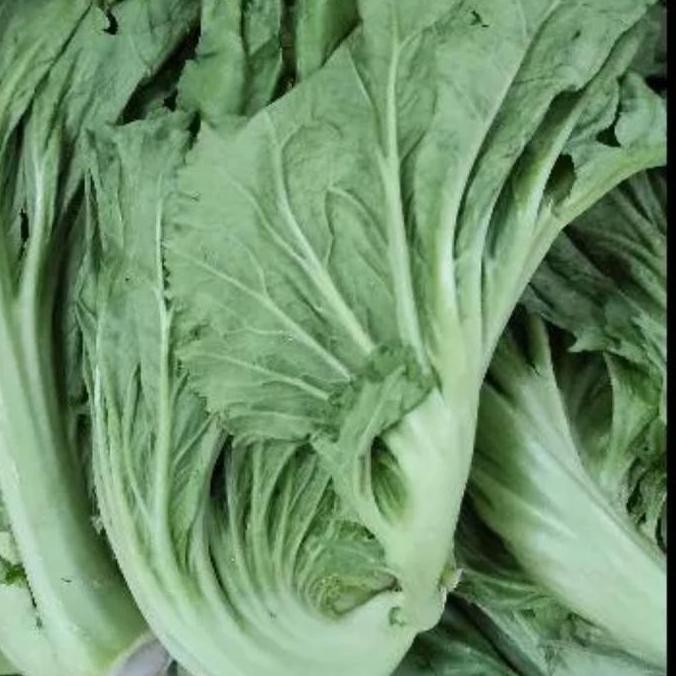 

Sayur Sawi Pahit 1 Kg / Sayuran Segar Fresh