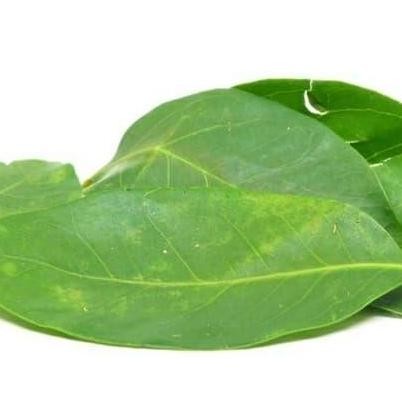 

SayurHD sayur segar daun salam per pack