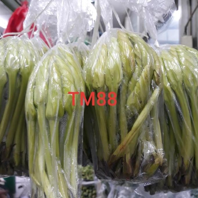 

SAYUR PUCUK SEDAP MALAM SEGAR/KIM CAM SEGAR /SAYUR KIM CIN SEGAR