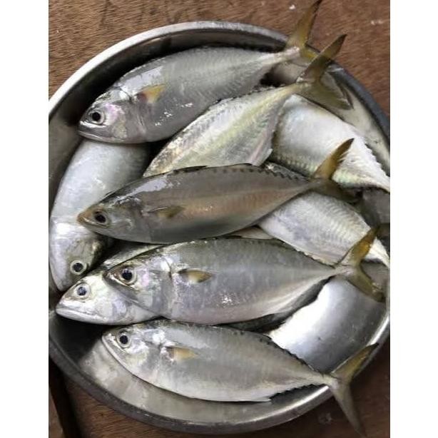 

Ikan Segar dan Seafood 2 Ekor Sayur Segar Pasar Induk