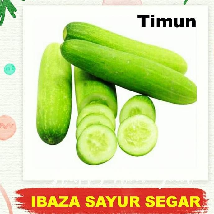 

TIMUN TIMUN MENTIMUN Sayur Segar IBAZA fruitsBOX