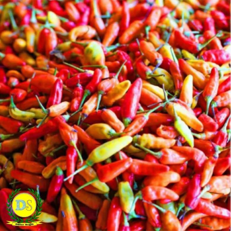 

Cabe / Cabai rawit merah 500 gr