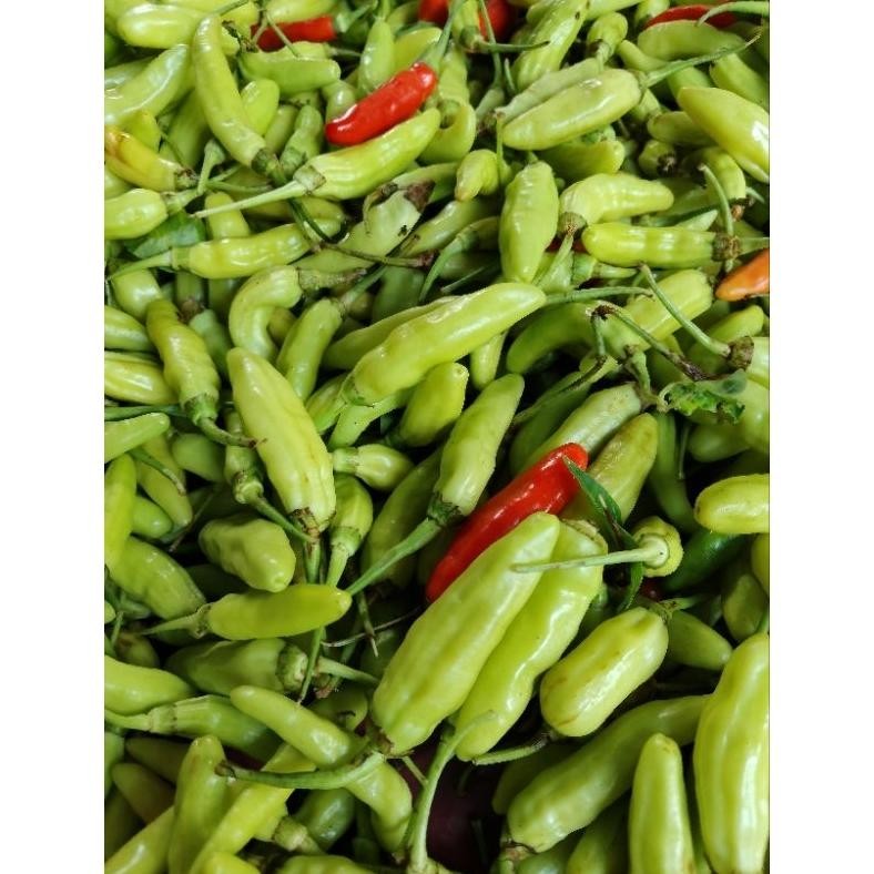 

1kg Cabai Rawit Putih Lokal tahan lama//cabe rawit superr