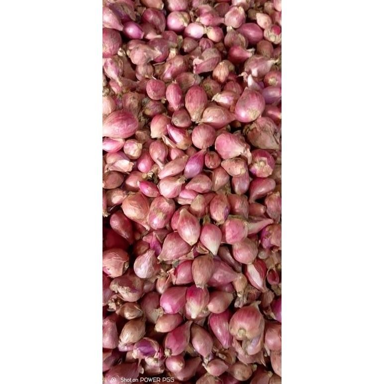 

bawang merah kecil lembut 1kg lokal nganjuk