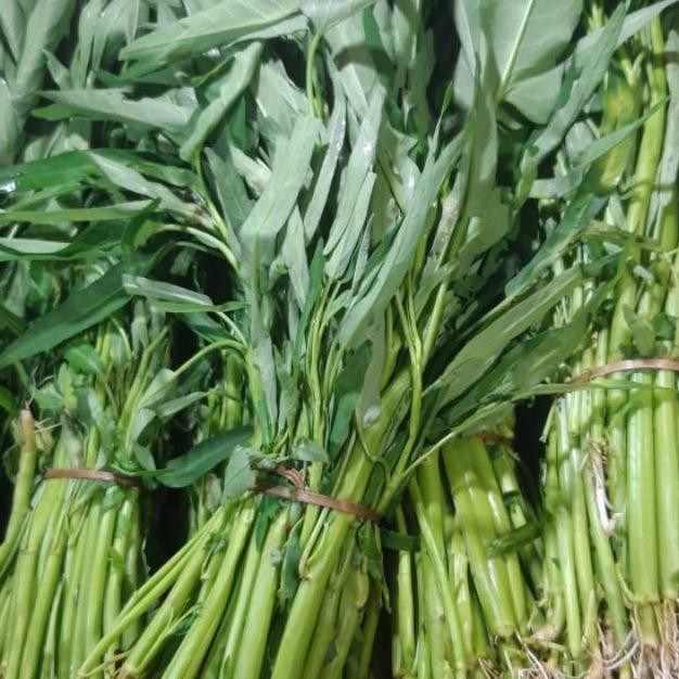 

SAYUR KANGKUNG 1 IKAT