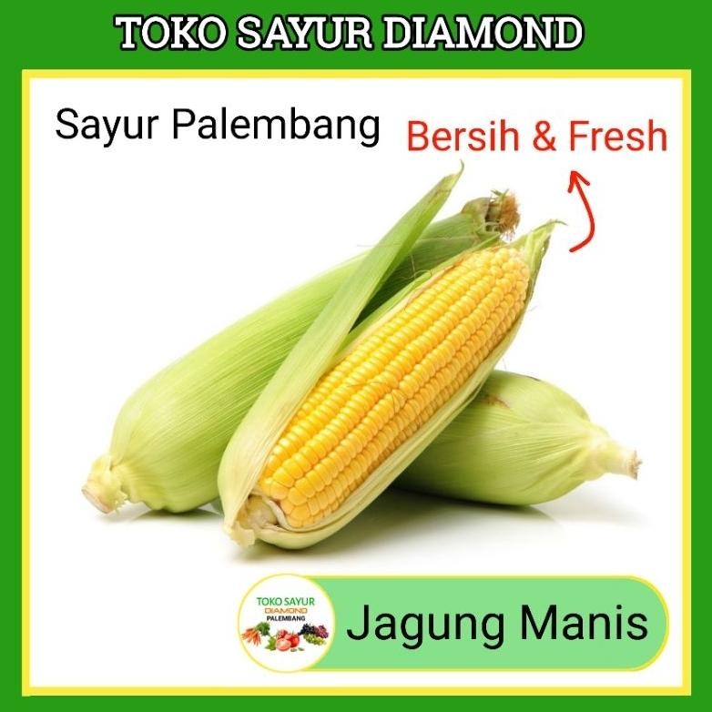 

Jagung Manis - Toko Sayur Sayuran Mayur Segar Palembang