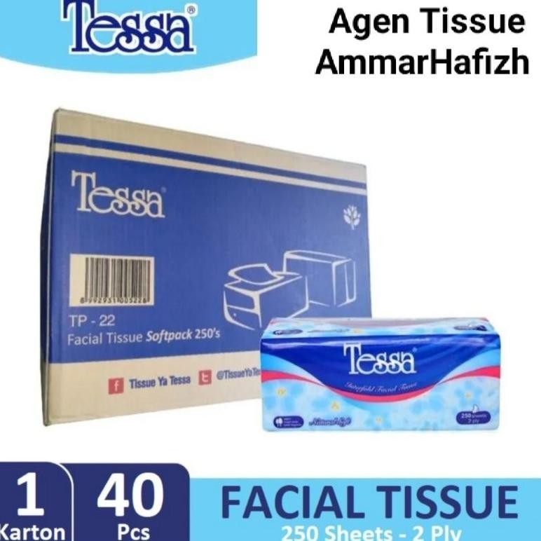 NEW TISU TESSA 250 SHEET / 2 PLY, TISSUE FACIAL (1 KARTON - 40 PCS)