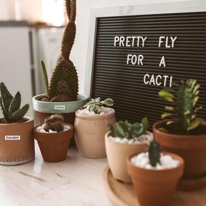 

12Mm Dymo Letratag Label Tape 4M Dymo Printer Letratag Tape New Stok