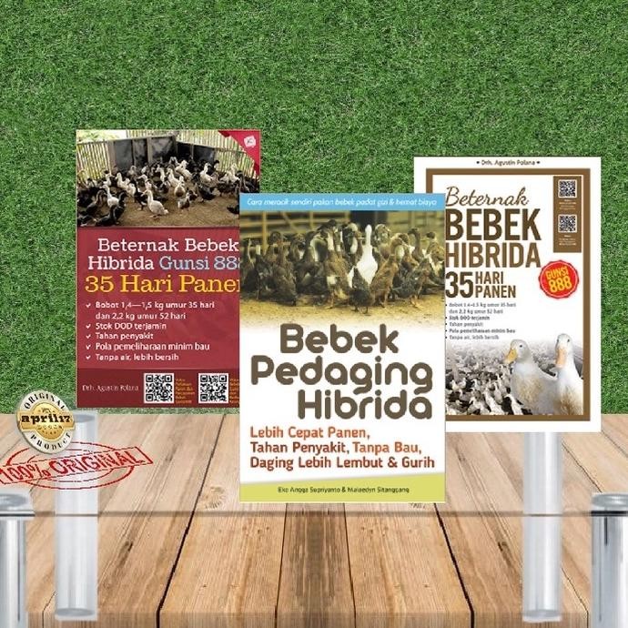 BUKU BEBEK PEDAGING HIBRIDA / BERTERNAK BEBEK HIBRIDA GUNSI 888 : 35 HARI PANEN / BETERNAK BEBEK HIB