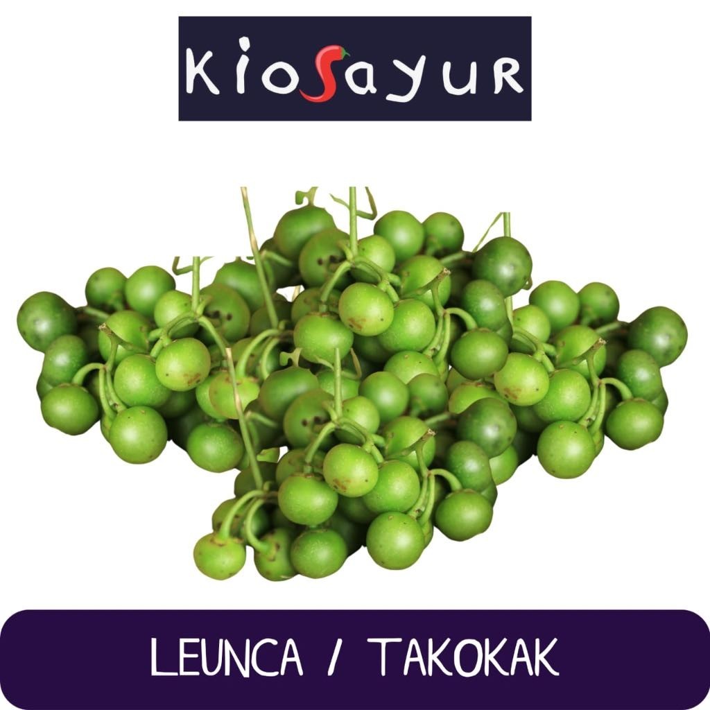 

Leunca / Takokak Kiosayur