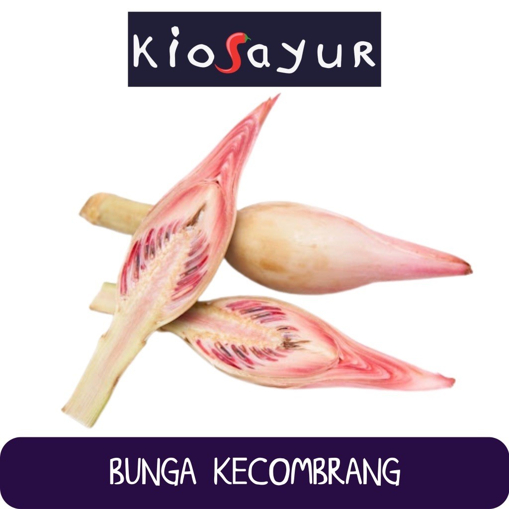 

Bunga Kecombrang Kiosayur