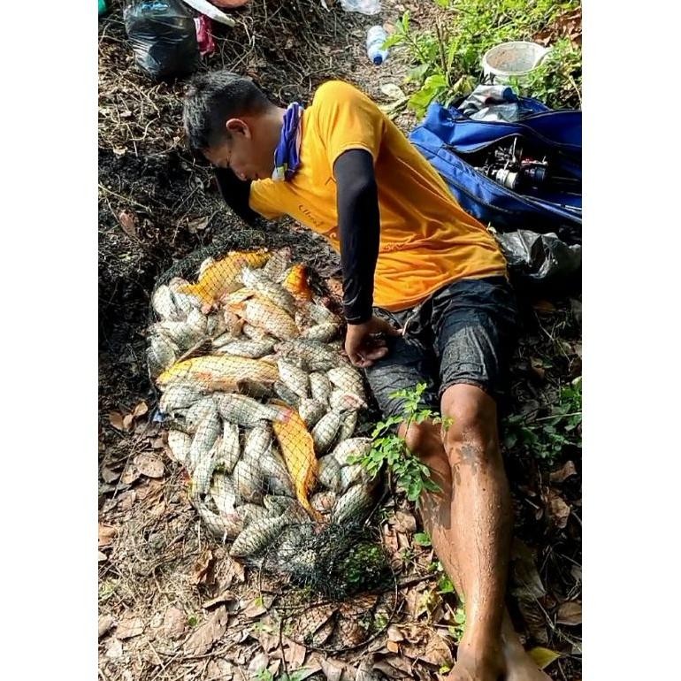 Essen Cacing rambo essen khusus media cacing. target ikan mujaer,bawal,lele,patin,gurame