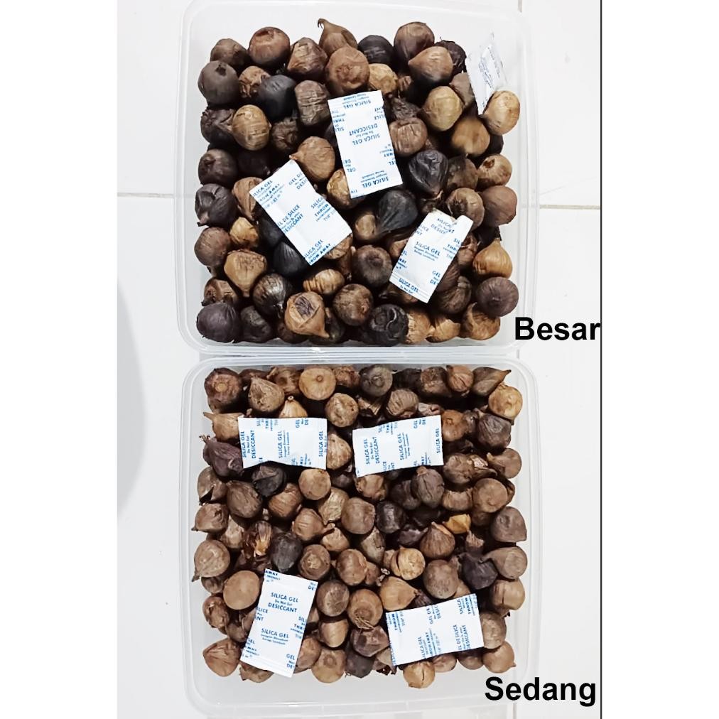 

Black Garlic Bawang Lanang 1kg Antioksidan Tinggi