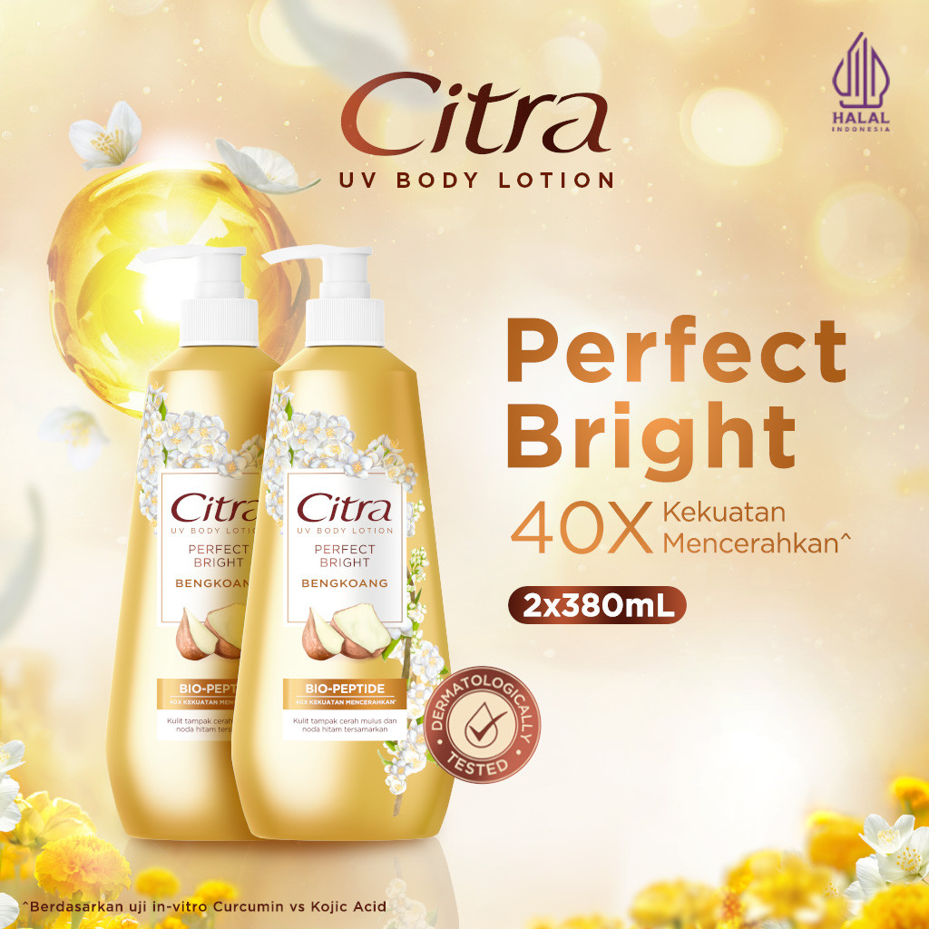 Citra UV Body Lotion Perfect Bright Bengkoang 380ML Twinpack- Mencerahkan