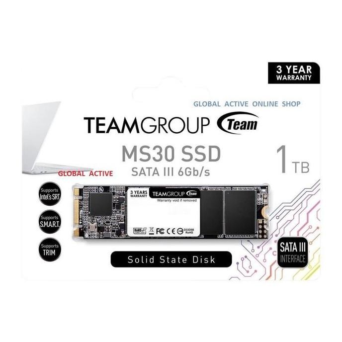 Team SSD Msata M.2 2280 MS30 1TB - 1TB M2 TM8PS7001T0C101