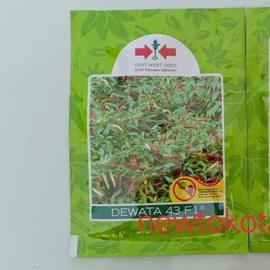 (Allthebest) Benih cabe rawit DEWATA 43 F1 2.250 butir benih cabe rawit putih