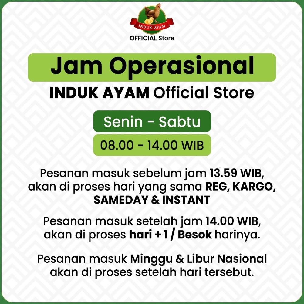

ready [ZAKAT 2 PCS] Beras Premium INDUK AYAM - LONG GRAIN 2,5 kg - Untuk Zakat - Beras Premium - Nasi Pulen - Beras Kristal - Produk Indonesia murah