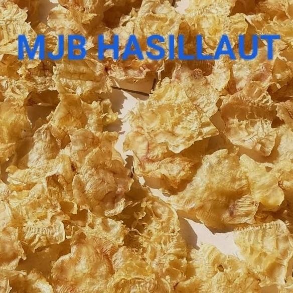 

Murah Gelembung Ikan Manyung,Perut Ikan, Lambung Ikan,Hipio,Hipiao, 250Gram