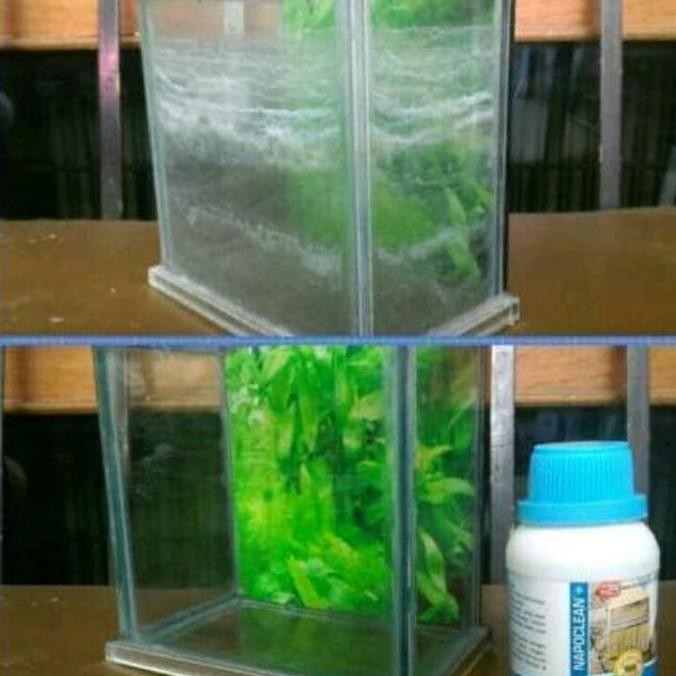 [[ FREEK / NAPOCLEAN HEAVY DUTY, NAPOCLEAN STRONG, NAPOCLEAN LIMESCALE REMOVER. BEST SELLER