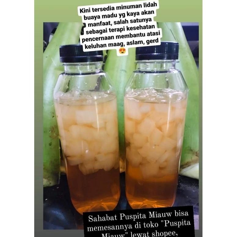 

MINUMAN Atasi MAAG GERD PANAS DALAM, KESEHATAN KULIT Dll.